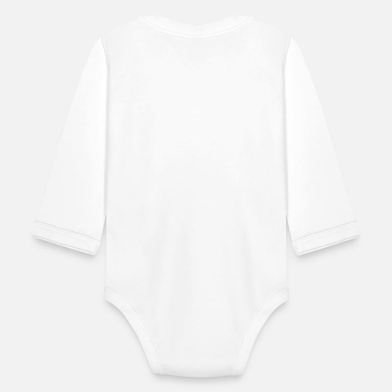 Easy Rider Motorcycle Chopper Stars and Stripes