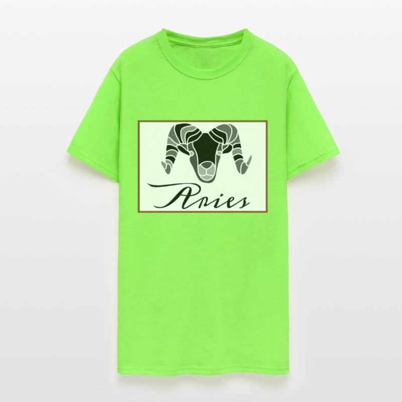 Artistic Aries Zodiac Star Sign Astrology Aestheti